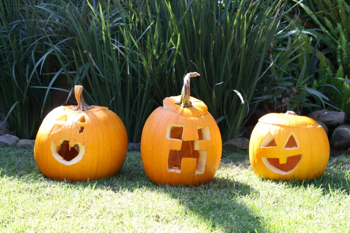 Our carved pumpkins