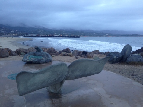 Whale tail Santa Barbara harbour