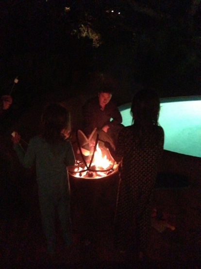 Marshmallows toasted to celebrate Kiwi friends in the house!